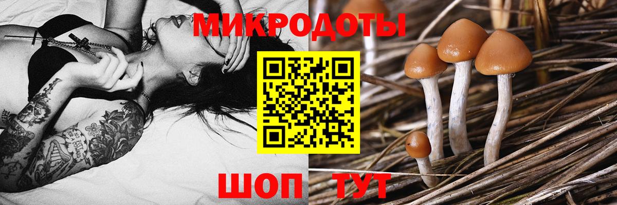 Галлюциногенные грибы Psilocybe  Вход с VPN  Псилоцибиновые грибы Magic Shrooms  Строитель 