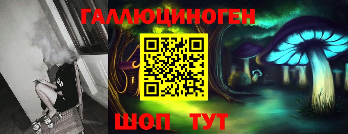 Псилоцибиновые грибы Psilocybe Строитель